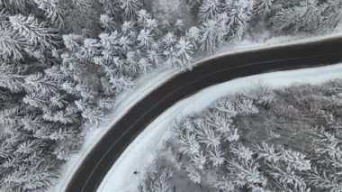 Kış manzaralı, karla kaplı dağ ormanları ve kaygan ormanlar..