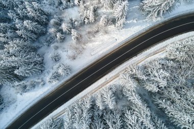 Kış manzaralı, karla kaplı dağ ormanları ve kaygan ormanlar..
