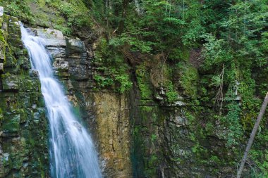 Yaz ormanlarında kayalık oluşumdan dökülen köpüklü suyla birlikte dağ nehrine dökülen şelale..