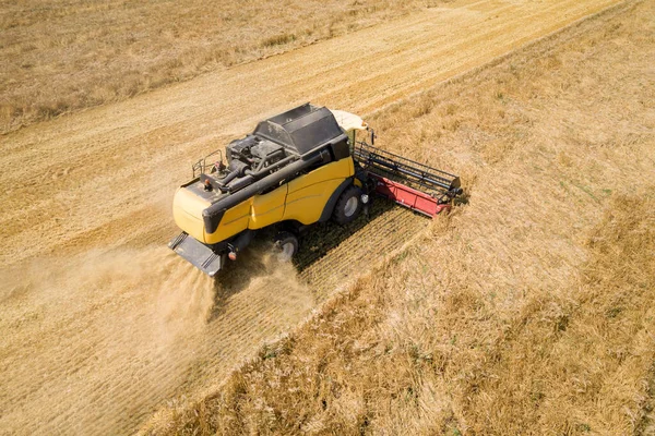 Vista Aerea Mietitrebbia Raccolta Grande Campo Grano Maturo Agricoltura Drone — Foto Stock