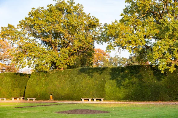 Árboles Verdes Amarillos Parque Otoño —  Fotos de Stock