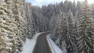 Kış manzaralı, karla kaplı dağ ormanları ve kaygan ormanlar.