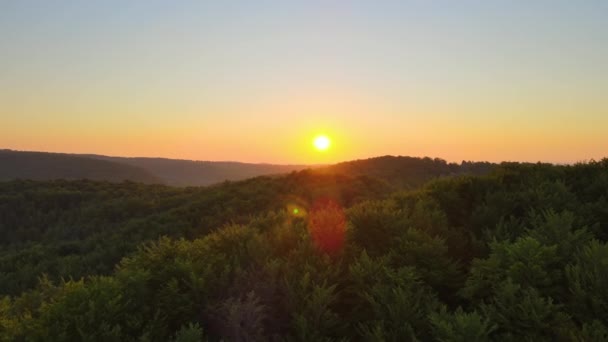 Vibrerande dimmig morgon över mörka skogsträd vid ljus sommarsoluppgång. Amazingl landskap av vilda skogar i gryningen — Stockvideo