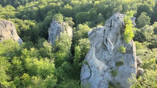 Αεροφωτογραφία του λαμπρού τοπίου με καταπράσινα δάση και μεγάλους βραχώδεις βράχους ανάμεσα σε πυκνά δάση το καλοκαίρι. Όμορφο τοπίο από άγρια δάση — Αρχείο Βίντεο