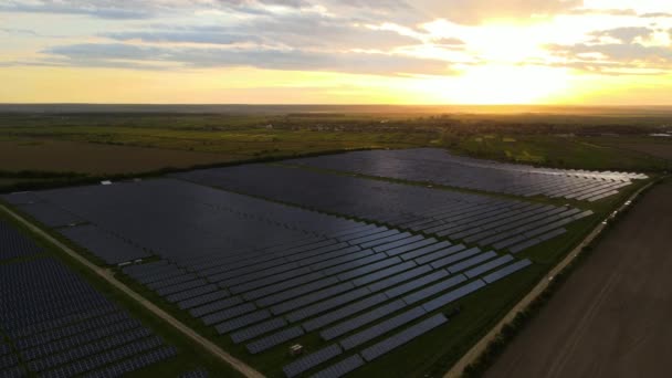 Luchtfoto van een grote duurzame elektriciteitscentrale met rijen zonnepanelen voor het produceren van schone ecologische elektrische energie bij zonsondergang. Hernieuwbare elektriciteit zonder uitstoot — Stockvideo