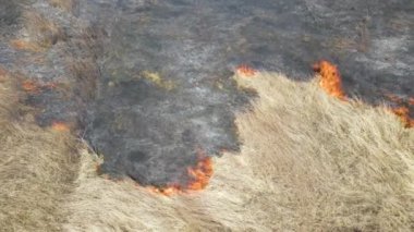 Kurak mevsimde çayırların kırmızı ateşle yandığını gösteren hava manzarası. Doğal afet ve iklim değişikliği kavramı