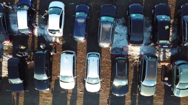 Top aerial view of many cars on sale car dealer market — Stock Video