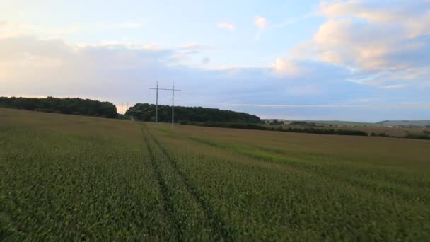 Torre com linhas eléctricas para a transferência de electricidade de alta tensão localizada no campo de milho agrícola. Conceito de fornecimento de energia elétrica — Vídeo de Stock