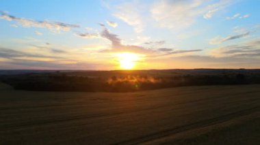 Canlı bir yaz akşamında olgun buğdayla ekili sarı tarım arazisinin havadan manzarası.