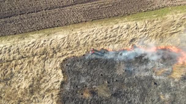 Αεροφωτογραφία πυροσβεστών που σβήνουν λιβάδια που καίγονται με κόκκινη φωτιά κατά την περίοδο ξηρασίας. Έννοια της φυσικής καταστροφής και της κλιματικής αλλαγής — Αρχείο Βίντεο