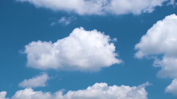 Czas upływa materiał filmowy z szybko poruszającymi się białymi, puszystymi chmurami cumulus na błękitnym, czystym niebie — Wideo stockowe