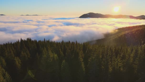 Vue aérienne du lever de soleil vibrant sur les collines de montagne couvertes de forêt d'épinettes à feuilles persistantes en automne — Video