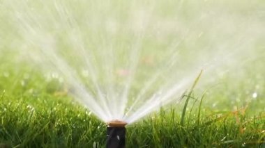 Plastik fıskiyeler çimenleri sulıyor yaz bahçesinde suyla. Yeşil bitkileri sulamak kurak mevsimi taze tutmak içindir.