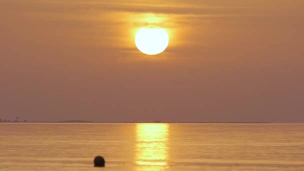 Большое желтое солнце поднимается над поверхностью моря — стоковое видео