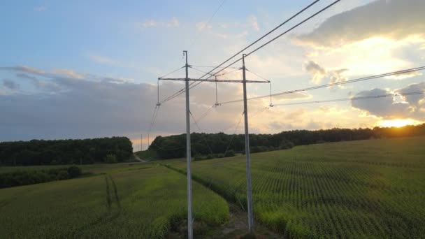 Высокое напряжение башни с электрическими линиями между зелеными сельскохозяйственными полями. Передача концепции электричества — стоковое видео
