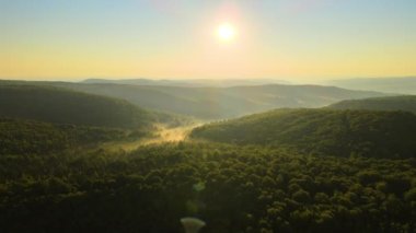 Sıcak yaz günbatımında karanlık orman ağaçlarının üzerinde parlak sisli bir sabah manzarası. Şafak vakti vahşi ormanın güzel manzarası
