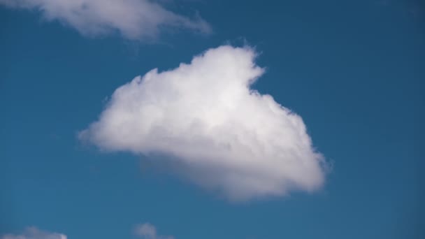 Helder landschap van witte gezwollen cumulus wolken vormen en veranderen onder sterke wind op blauwe hemel — Stockvideo