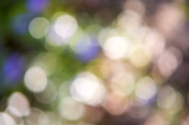 Odaklanamayan bulanık ışık çemberleriyle soyut pastel yeşil bokeh.