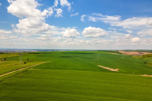 Luftaufnahme Von Grün Bewirtschafteten Landwirtschaftlichen Feldern Mit Wachsenden Pflanzen Hellen — Stockfoto
