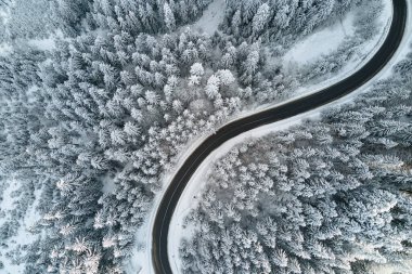 Kış manzaralı, karla kaplı dağ ormanları ve kaygan ormanlar..
