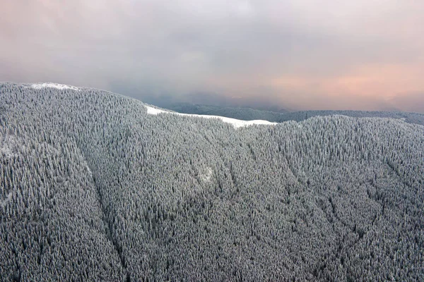 Вид Воздуха Зимний Пейзаж Горными Холмами Покрытыми Вечнозеленым Сосновым Лесом — стоковое фото