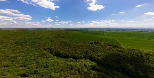 Letecký Široký Panoramatický Výhled Tmavé Horské Kopce Pokryté Zelenou Smíšenou — Stock fotografie