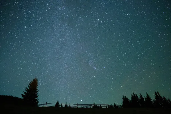 Cielo Nocturno Con Estrellas Brillantes Vía Láctea Galaxia Sobre Bosque —  Fotos de Stock