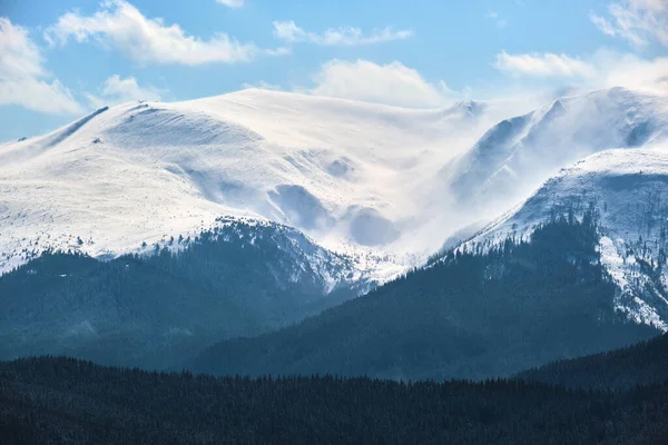 寒冷的冬日下了大雪后 高山上覆盖着常绿松树林的冬季风景 — 图库照片