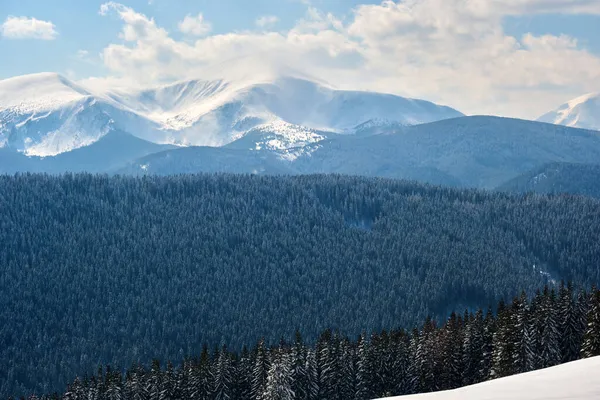 Зимовий Пейзаж Високими Гірськими Пагорбами Вкритими Вічнозеленими Сосновими Лісами Після — стокове фото