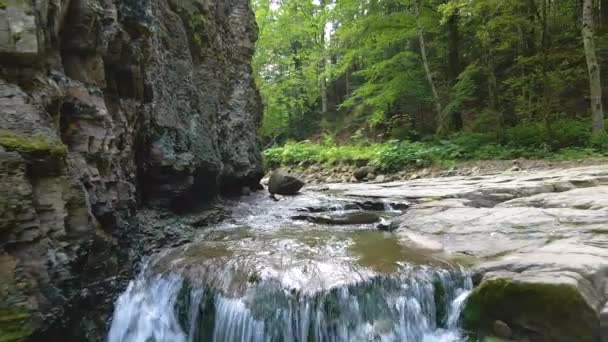 Waterval op de berg rivier met wit schuimwater vallen van rotsachtige vorming in de zomer bos. — Stockvideo