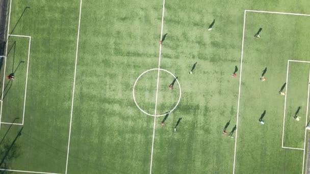 緑のスポーツスタジアムでサッカー選手の空中ビュー — ストック動画