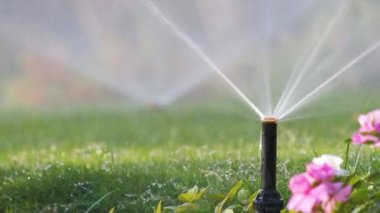Plastik fıskiyeler çimenleri sulıyor yaz bahçesinde suyla. Yeşil bitkileri sulamak kurak mevsimi taze tutmak içindir.