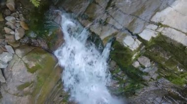 Yaz ormanlarında kayalık oluşumdan dökülen köpüklü suyla birlikte dağ nehrine dökülen şelale.