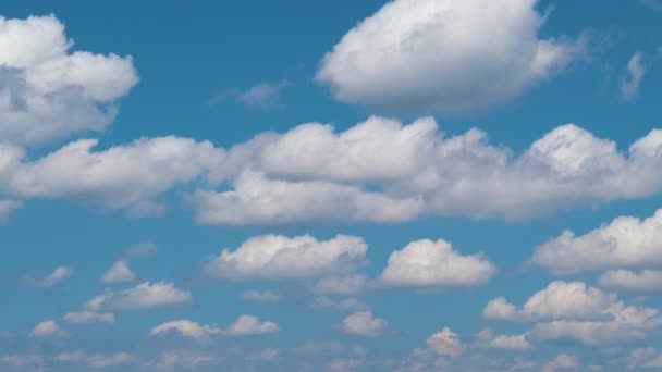 Zeitraffer-Aufnahmen von sich schnell bewegenden weißen, geschwollenen Kumuluswolken am blauen Himmel — Stockvideo