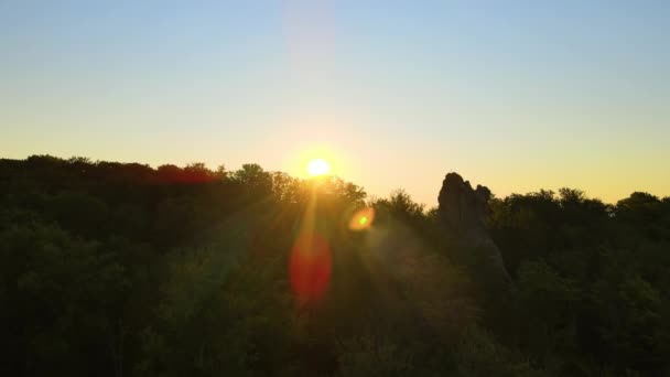Luftaufnahme eines hellen nebligen Morgens über dunklen Waldbäumen bei warmem Sommersonnenaufgang. Schöne Landschaft mit wilden Wäldern im Morgengrauen — Stockvideo