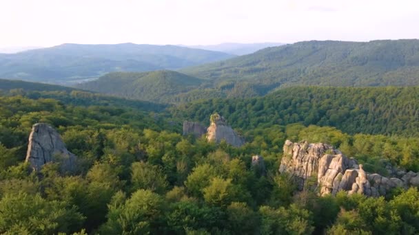 Luftaufnahme einer hellen Landschaft mit grünen Waldbäumen und großen Felsbrocken zwischen dichten Wäldern im Sommer. Schöne Landschaft mit wilden Wäldern — Stockvideo