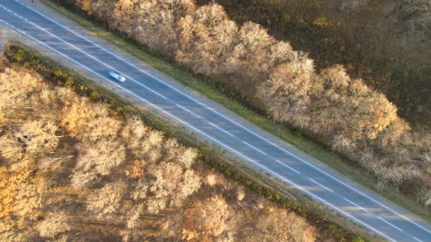 Вид з повітря на міжміську дорогу з швидким водінням автомобіля між осінніми лісовими деревами на заході сонця. Вид зверху з дрона шосе ввечері — стокове відео