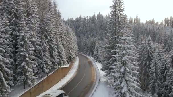 Vista aérea del paisaje invernal con bosques de montaña cubiertos de nieve y sinuoso camino resbaladizo bosque — Vídeo de stock