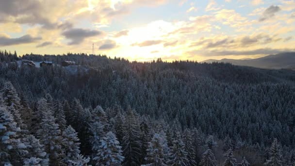 Geceleri soğuk dağlarda karla kaplı ormanlar arasında küçük köy evleri olan havadan kış manzarası. — Stok video
