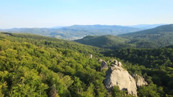 Luftaufnahme einer hellen Landschaft mit grünen Waldbäumen und großen Felsbrocken zwischen dichten Wäldern im Sommer. Schöne Landschaft mit wilden Wäldern — Stockvideo