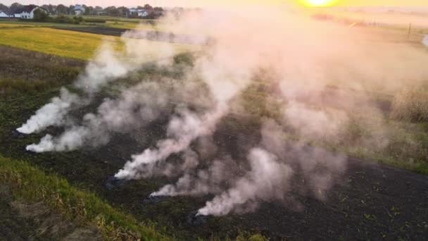 Luchtfoto van landbouwafval kampvuur van droog gras en stro stoppels verbranding met dikke rook vervuilende lucht tijdens het droge seizoen op landbouwgronden veroorzaakt opwarming van de aarde en kankerverwekkende dampen — Stockvideo