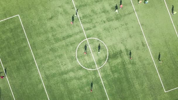 緑のスポーツスタジアムでサッカー選手の空中ビュー — ストック動画