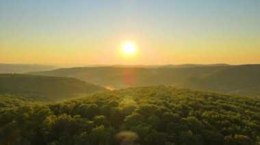 Aydınlık yaz gündoğumunda karanlık orman ağaçları üzerinde canlı sisli bir sabah. Şafak vakti vahşi ormanın muhteşem manzarası