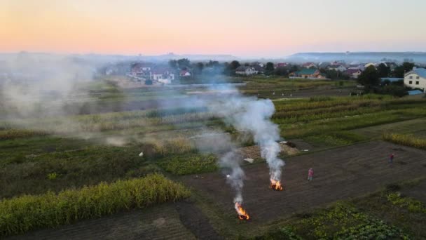 Aerial view of agricultural waste bonfires from dry grass and straw stubble burning with thick smoke polluting air during dry season on farmlands causing global warming and carcinogen fumes. — Stock Video