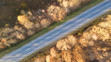Günbatımında güz ormanı ağaçları arasında hızlı giden arabalarla şehirlerarası yol manzarası. Akşamları otoban trafiğinin insansız hava aracı görüntüsü