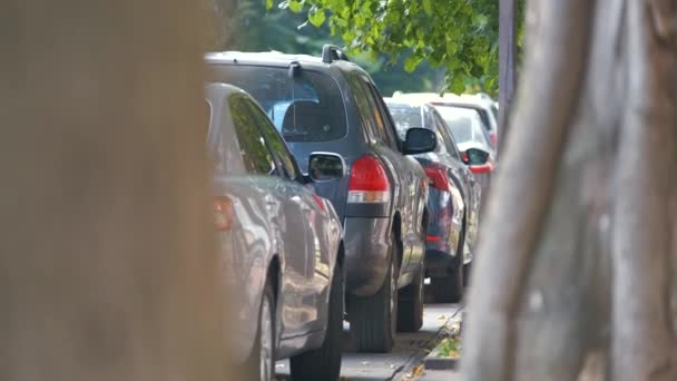Tráfico urbano con coches estacionados en línea en el lado de la calle — Vídeo de stock