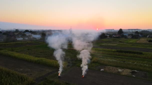 Flygfoto över jordbruksbränder från torrt gräs och halmstubb som brinner med tjock rök förorenande luft under torrperioden på jordbruksmark som orsakar global uppvärmning och cancerframkallande rök. — Stockvideo