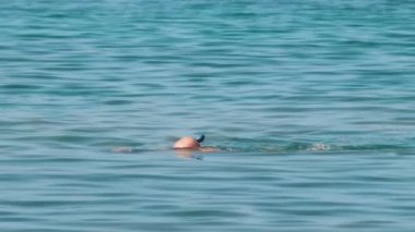 Denizin altında yüzen, şnorkelle yüzen tanınmamış bir adam.