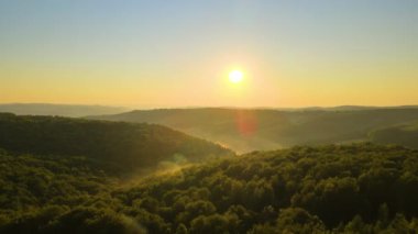 Parlak yaz günbatımında karanlık orman ağaçları üzerinde canlı sisli bir akşam. Alacakaranlıkta vahşi ormanın inanılmaz manzarası