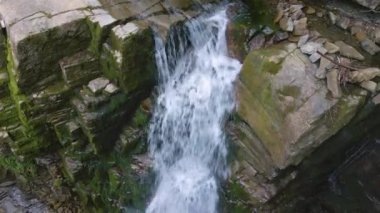 Yaz ormanlarında kayalık oluşumdan dökülen köpüklü suyla birlikte dağ nehrine dökülen şelale.